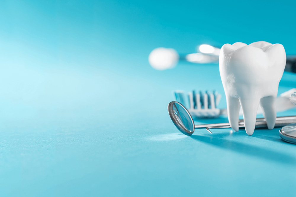 Dental tools and model tooth for dental care in Frenchs Forest, NSW